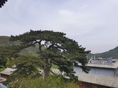-妙峰山风景名胜区