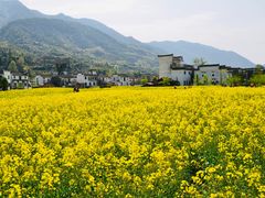 -婺源风景区