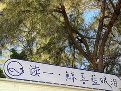 -马銮湾景区