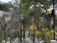 -灵岩山风景区