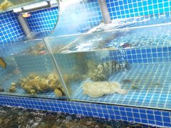 -星记小馆·小蓝龙·老南京砂锅菜(上海路店)