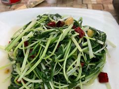 -仙客石锅牛肉