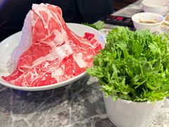 -禄婶鸡煲·打边炉