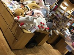 -九木杂物社(中心店)
