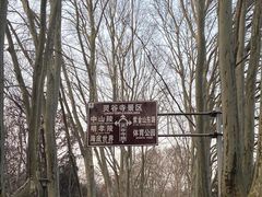 -音乐台