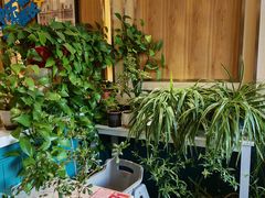 -东方豪客牛排意面披萨(玉函银座店)