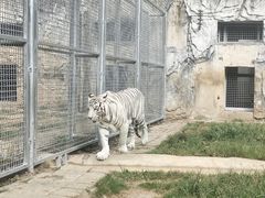 -黔灵山公园