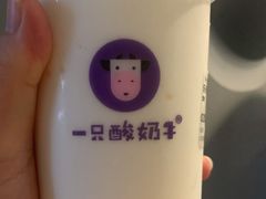 乐乐桃桃酸奶多-一只酸奶牛(八一路店)
