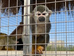 -水上乐园·欢乐世界