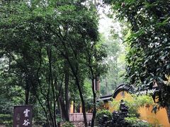 -灵谷景区