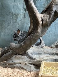 -Zoolung Zoolung动物主题公园(海信广场店)