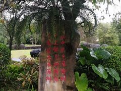 -桂林园博园