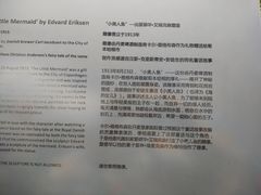 -美人鱼