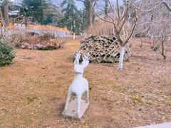 -石岛赤山风景区