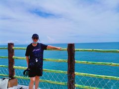 -广东惠东海龟国家级自然保护区
