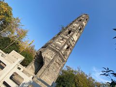 -上海佘山国家森林公园天马山园