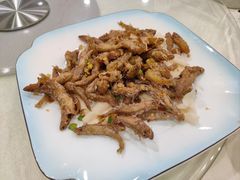 美极山坑鱼-姚林轩