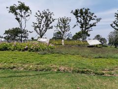-同里国家湿地公园