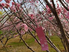 -恒大世纪梦幻城