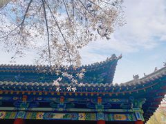 -碑林公园