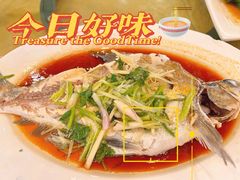 -鸿达渔港