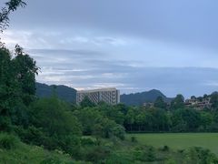 -成都蒲江花样年福朋喜来登度假酒店·宜客乐西餐厅