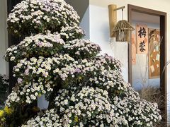 -杭州植物园