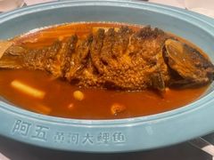 -阿五黄河大鲤鱼(英协路店)