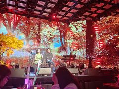 -MOSSO·Liveshow(M3香港广场店)