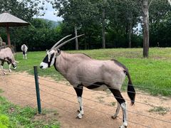 -大连森林动物园