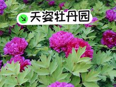-太阳宫公园