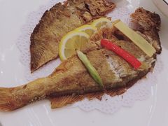 -骏莱海鲜鱼港(五角场店)