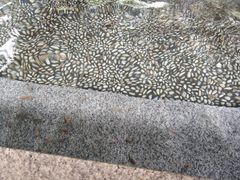 -厦门日月谷温泉渡假村