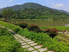 -风云岭森林公园
