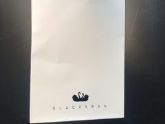 -BLACKSWAN黑天鹅(环球店)