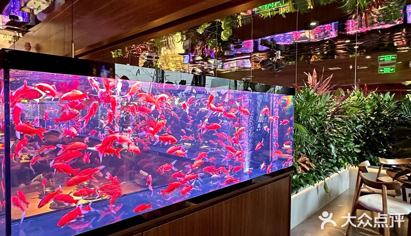 贵阳新店！小鱼餐厅好美啊！！🎏