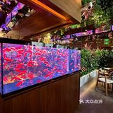 贵阳新店！小鱼餐厅好美啊！！🎏