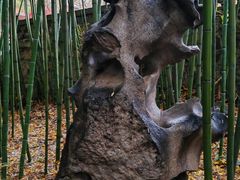 -泰山风景名胜区-普照寺