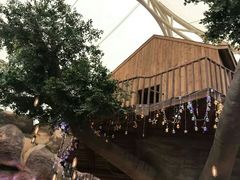 -杭州开元森泊度假乐园