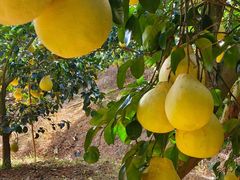 -容州国际大酒店