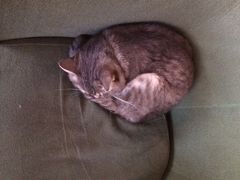 天使咖啡-天使咖啡(兴新街店)