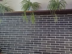 -唐师傅湘西名菜馆(武陵路店)