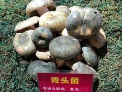 -朱家小厨(红塔西路店)