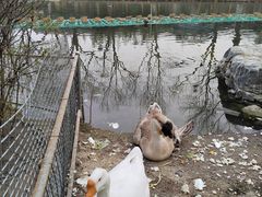 -北京海洋馆
