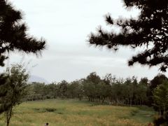 -北京西山国家森林公园