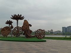 -莲花池公园
