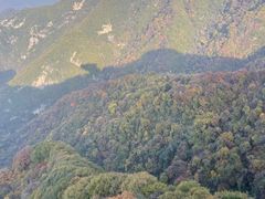 -少华山国家森林公园