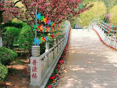 -石岛赤山风景区