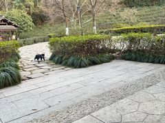 -杭州半山国家森林公园