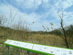 -西湖风景区-江洋畈生态公园